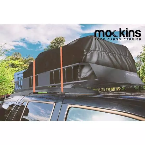 Rooftop Cargo Carrier Reviews
